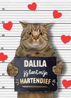 valentijn kaart kat grappig jij bent mijn hartendief